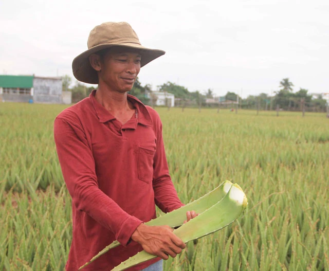 Nha đam- Vị cứu tinh của nông dân Ninh Thuận
